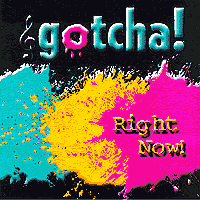 Gotcha! : Right Now! : 1 CD : 