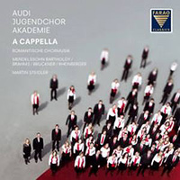 Audi Jugendchor Akademie  : A Cappella : 00  1 CD :  : 108071