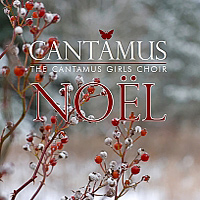 Cantamus : Noel : 1 CD : Pamela Cook : 