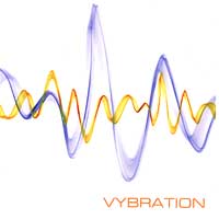 Vybration : Vybration : 1 CD